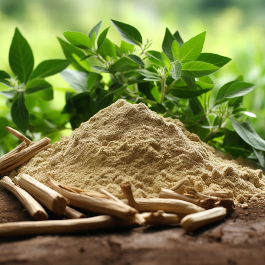 Natuurlijke Remedies: Ashwagandha en Lion's Mane voor Stressbeheer en Cognitieve Verbetering